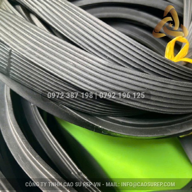Ron cao su ống cống TG 19x25 D200