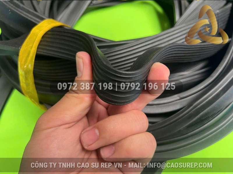 Ron cao su ống cống TG 19x25 D900