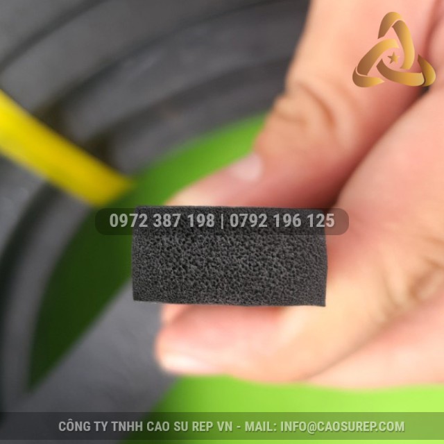 Ron cao su xốp EPDM 10x20