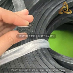 Ron cao su xốp EPDM HCN 6x16